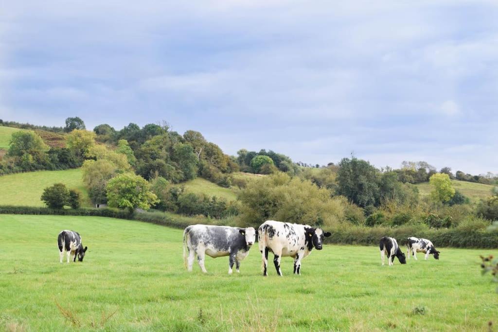 Nr Bicester Village 5 Star Luxury On Farm Piddington Eksteriør bilde